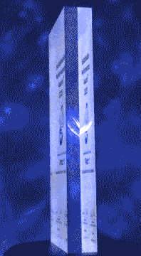 Sustainable Performance Award 2025 Trophäe